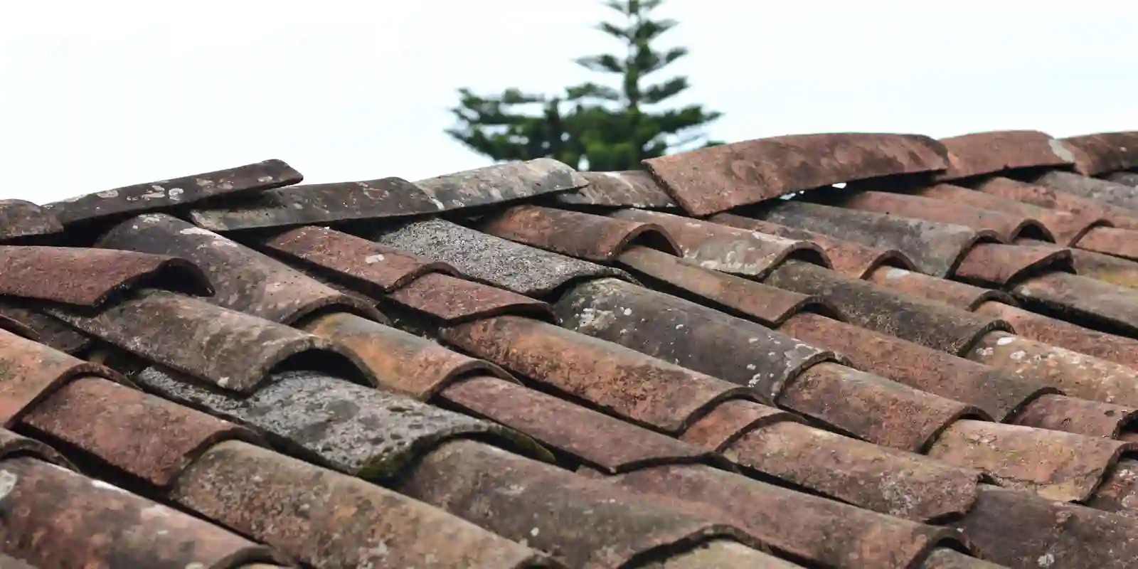 Header image for Archives for roofing